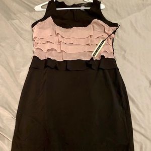 Fitted pomplun dress.  Mauve and black size L.